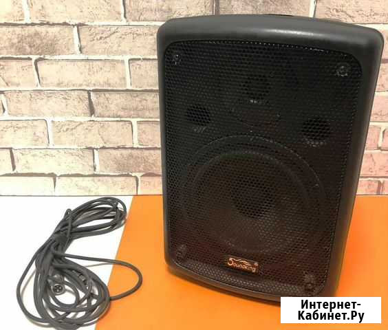 Концертная Акустическая система Soundking FP208(Ш) Красноярск - изображение 1