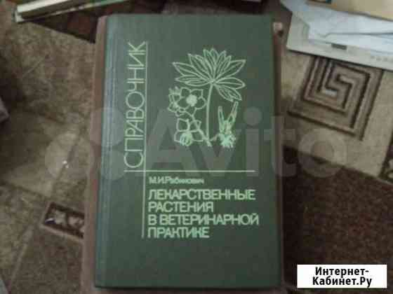 Книга Оренбург