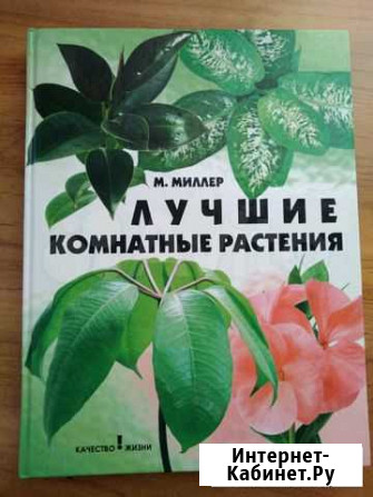 Книга Лучшие комнатные цветы Батайск - изображение 1