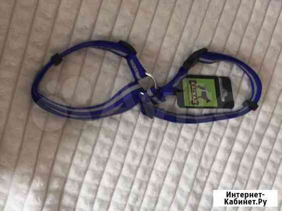 Продаётся шлейка для шпица Екатеринбург