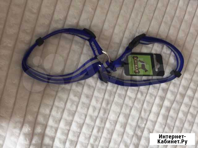 Продаётся шлейка для шпица Екатеринбург - изображение 1