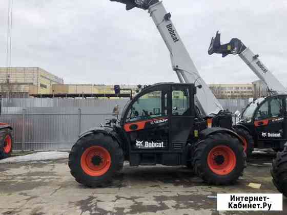 Телескопический погрузчик Bobcat TL43.80 Agri, 2021 Москва