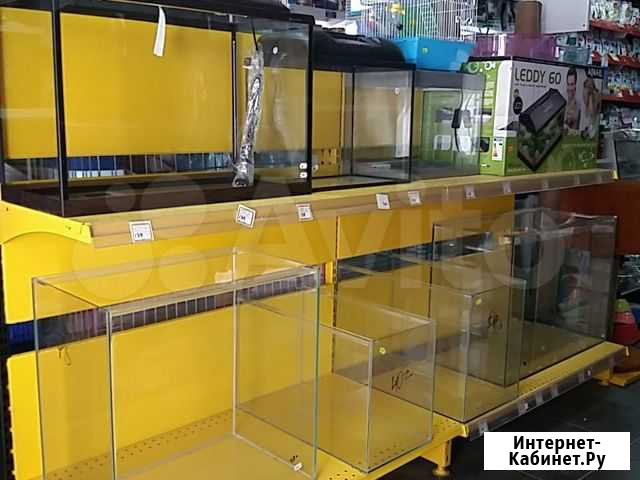 Аквариумы Новосибирск - изображение 1