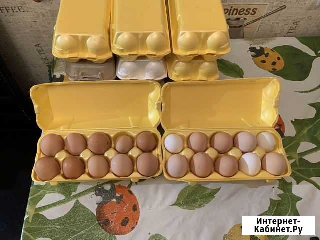 Яйца куриные домашние Московский - изображение 1