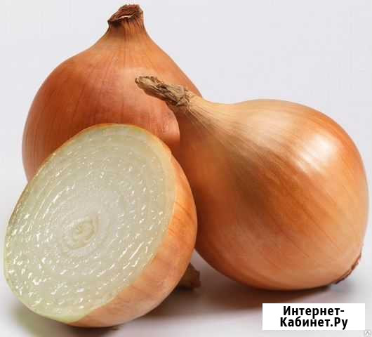 Лук репчатый, картофель, морковь, капуста, свекла Красноярск - изображение 1