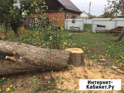 Опиливание деревьев Липецк