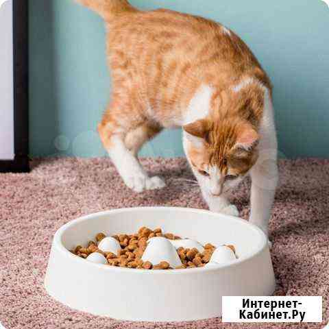 Миска Для Животных Xiaomi Pet Slow Food Bowl Казань