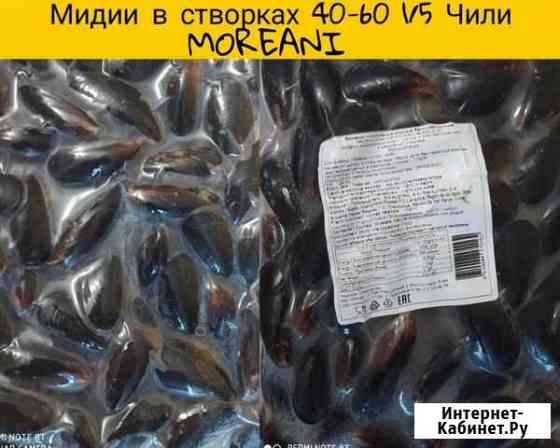 Мидии в створках 40-60 Сочи