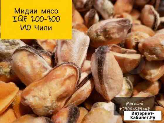 Мясо мидии Сочи