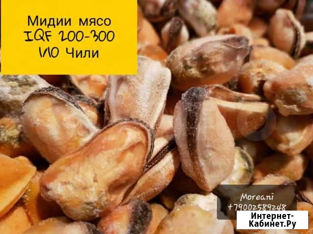 Мясо мидии Сочи - изображение 1