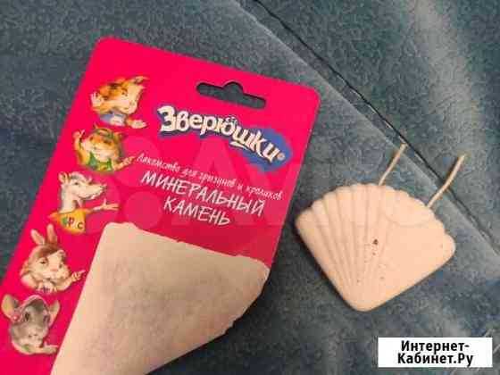 Минеральный камень, лакомство для грызунов Калининград