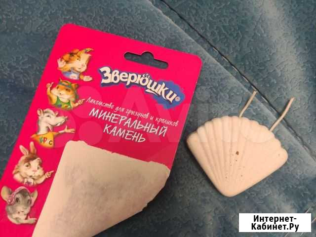 Минеральный камень, лакомство для грызунов Калининград - изображение 1