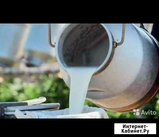 Молоко от кфх Волово - изображение 1