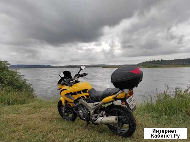 Yamaha TDM900 Мегет - изображение 1