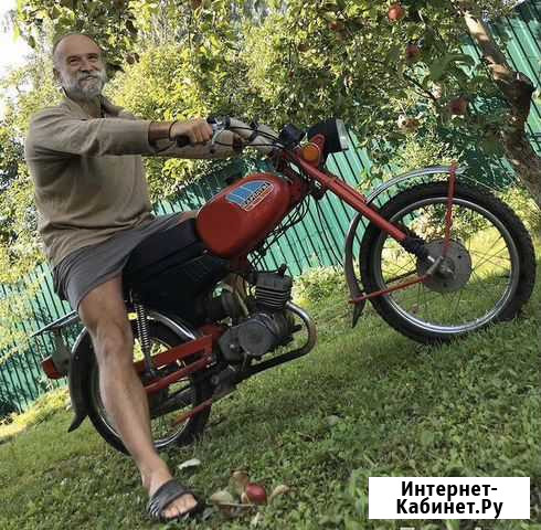 Карпаты Истра - изображение 1