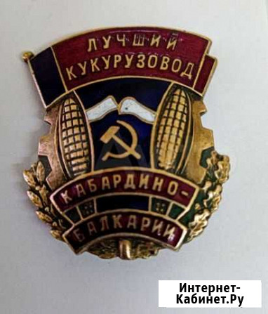 Значок Лучший Кукурузовод Волгоград - изображение 1