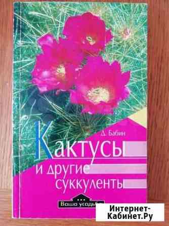 Кактусы и другие суккуленты Старый Оскол