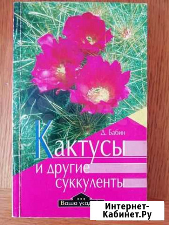 Кактусы и другие суккуленты Старый Оскол - изображение 1