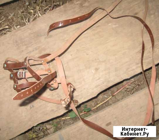 Намордник Новозыбков - изображение 1