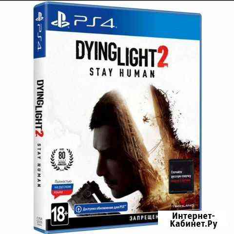 Dying light 2 Мурино