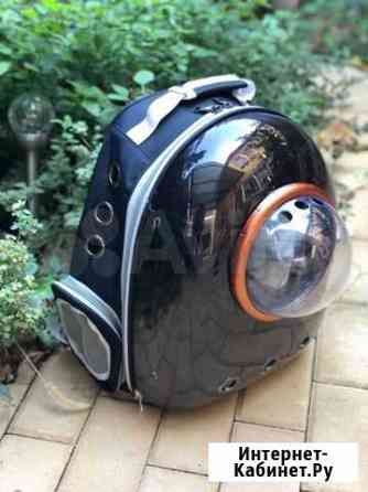 Переноска для животных Краснодар