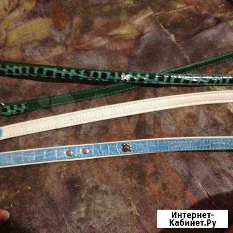 Поводки новые Екатеринбург