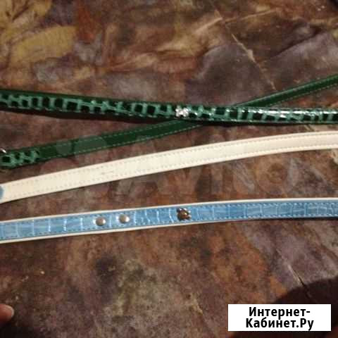 Поводки новые Екатеринбург - изображение 1