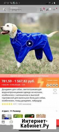 Дождевик для собак Кропоткин - изображение 1