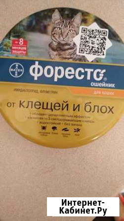 Ошейник Кисловодск - изображение 1