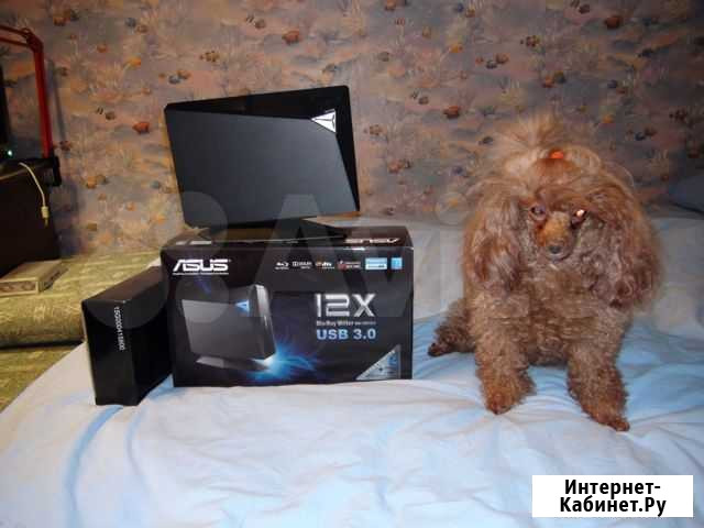 Привод внешний Asus BW-12D1S-U Black Петрозаводск - изображение 1