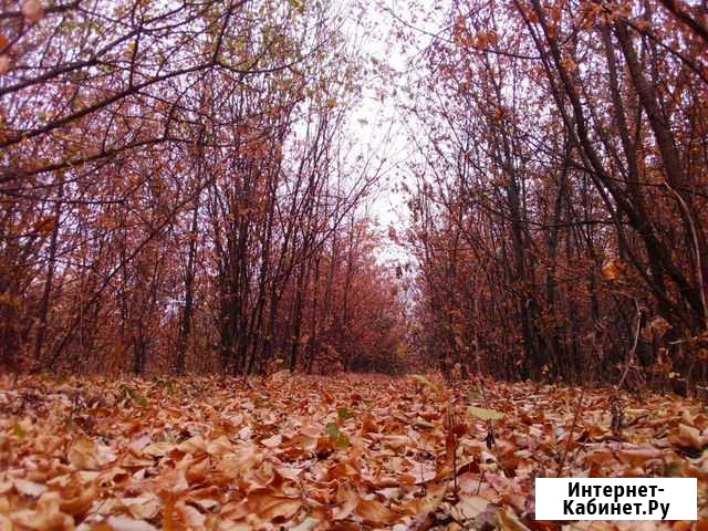 Стихотворение и песни на заказ Волгоград - изображение 1