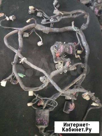 Проводка, коса Honda CBR 1000RR 04-06 Каменка - изображение 1