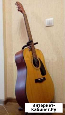 Fender DG-9 Китово - изображение 1