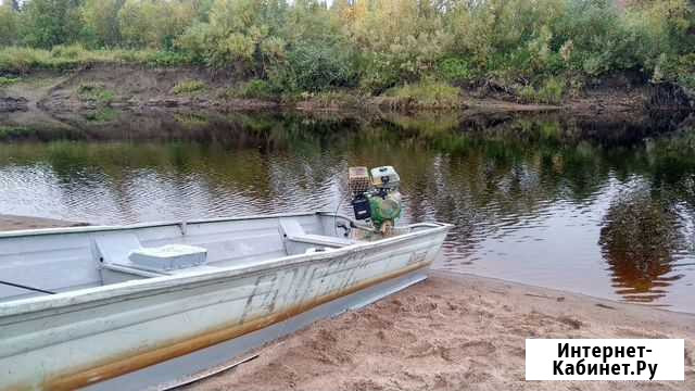 Лодочный болотоход Архангельск - изображение 1