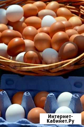 Куриное домашнее яйцо Нижний Новгород - изображение 1