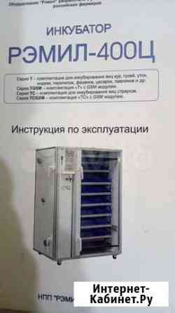 Инкубатор Рэмил Самара
