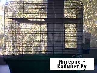 Клетка для грызунов Ставрополь - изображение 1