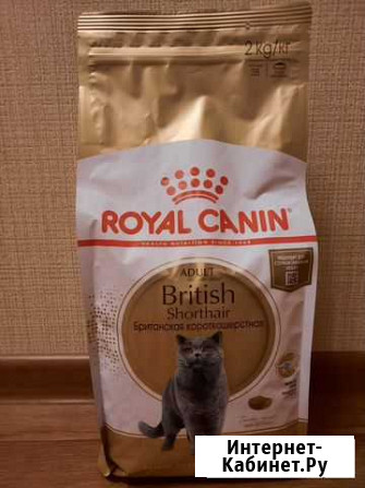 Royal canin adult British Shorthair Сургут - изображение 1