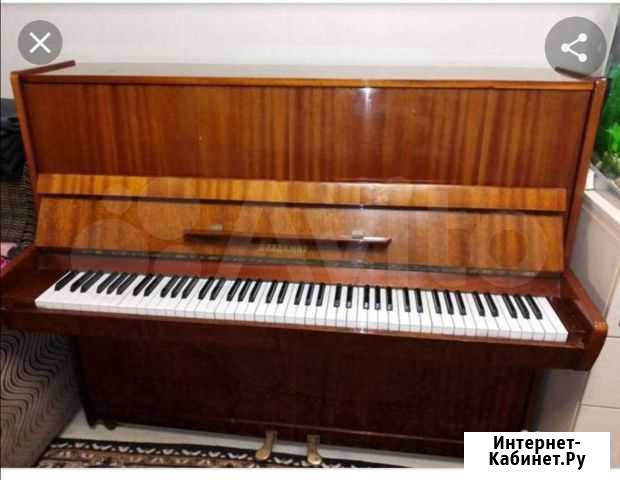 Продам пианино Владимир - изображение 1