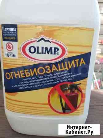Огнебиозащита 10 литров Тула