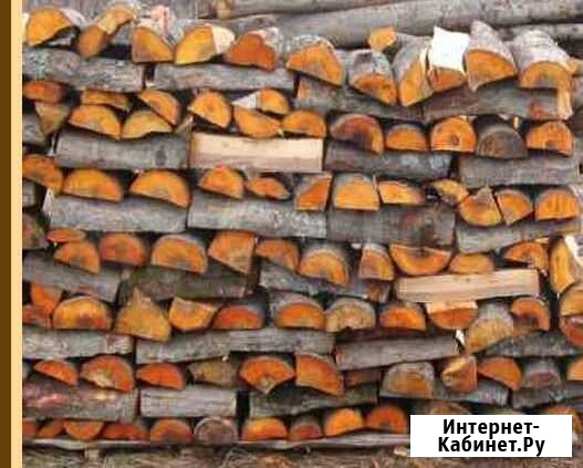 Ольха колотая Киржач - изображение 1