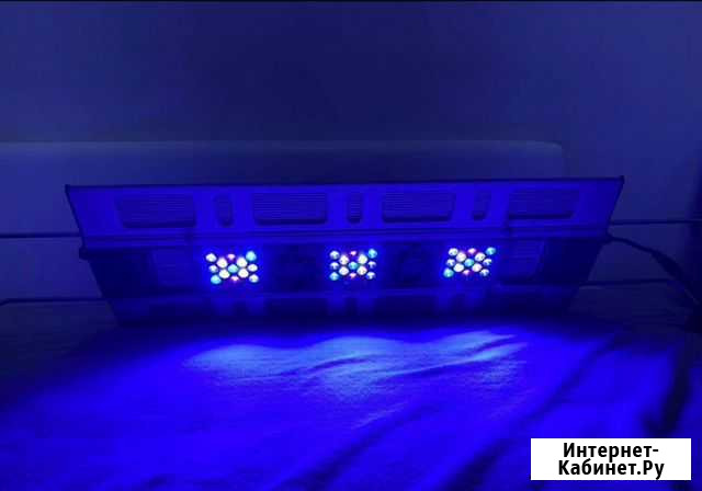 Светильник для морского аквариума Maxspect r420r Владивосток - изображение 1