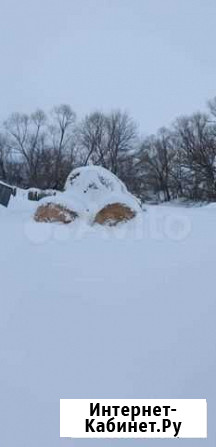 Продам сено,солому Петровск - изображение 1