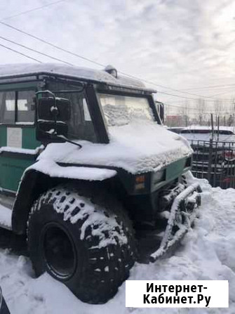 Снегоболотоход Петрович Красноярск - изображение 1