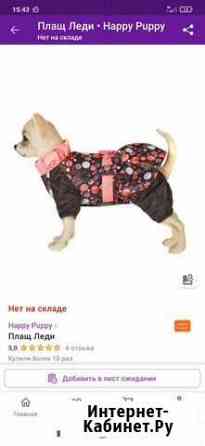 Продам одежда-плащик для щенка чихуа Королев