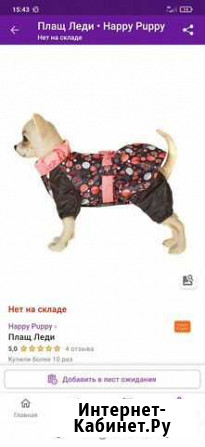 Продам одежда-плащик для щенка чихуа Королев - изображение 1