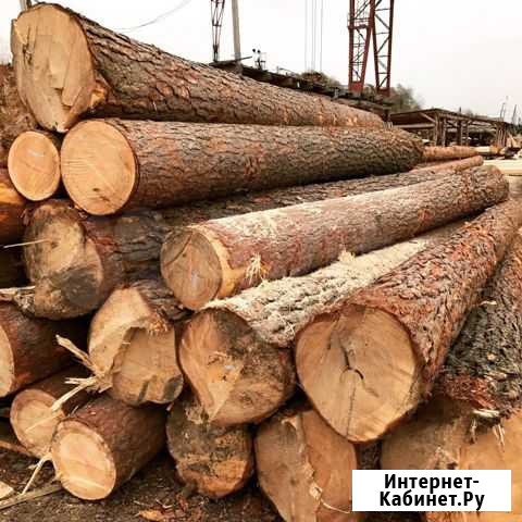 Лес пиловочник Курган - изображение 1