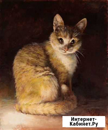 Картина «Sad cat» Курган - изображение 1