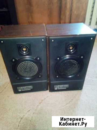 Колонки radiotehnika 6 ас 221 Таганрог - изображение 1