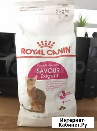 Корм для кошек Royal Canin сухой и влажный Развилка - изображение 1